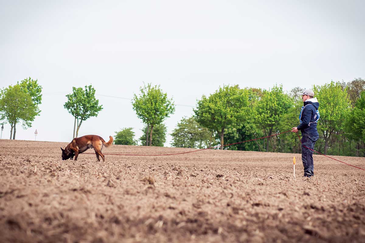 Einklinker Hundesport - Sportiv