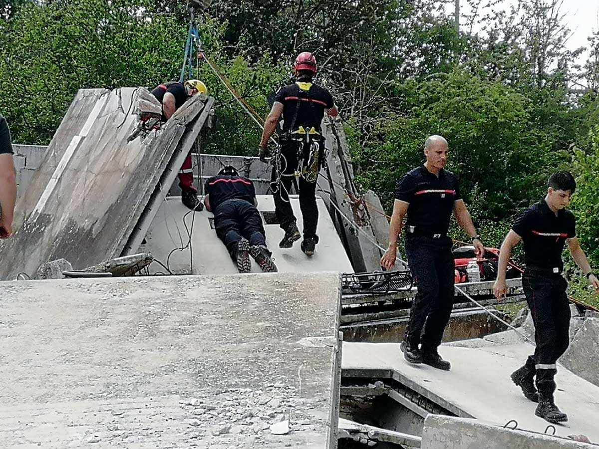 Einklinker Hundesport - Wissenwertes