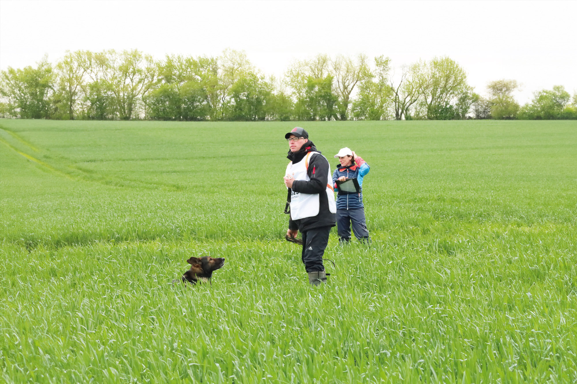 Header - Fährtenhund Szene - FCI-Weltmeisterschaft