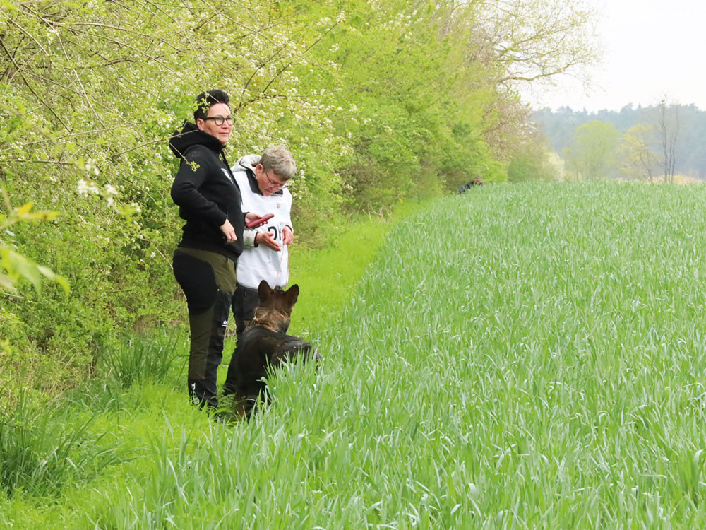 Einklinker-Fährten-Szene_2