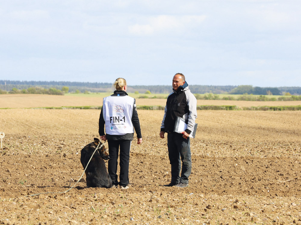 Einklinker-Fährten-Szene_3