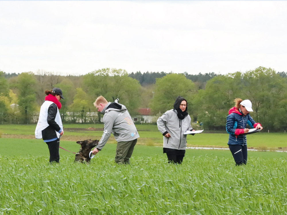 Einklinker-Fährten-Szene_4