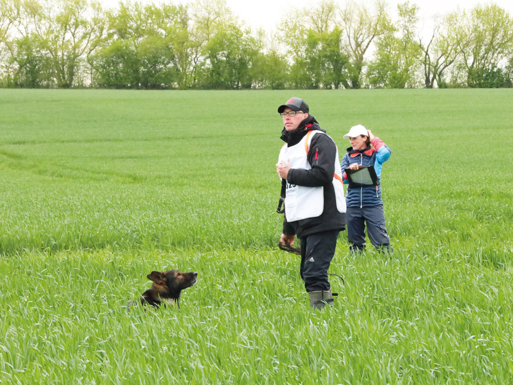 Einklinker-Fährten-Szene_5