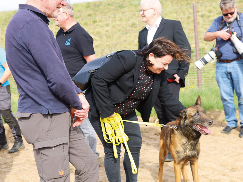 Einklinker-Fährten-Szene_6