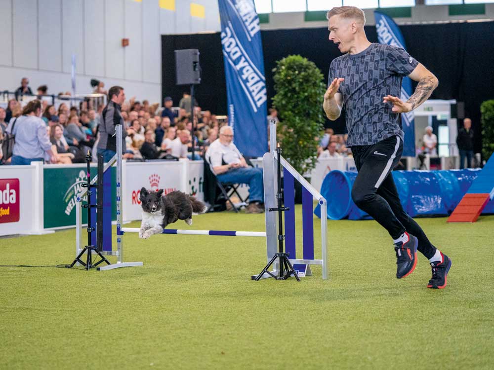 Einklinker Hundesport - Sportiv