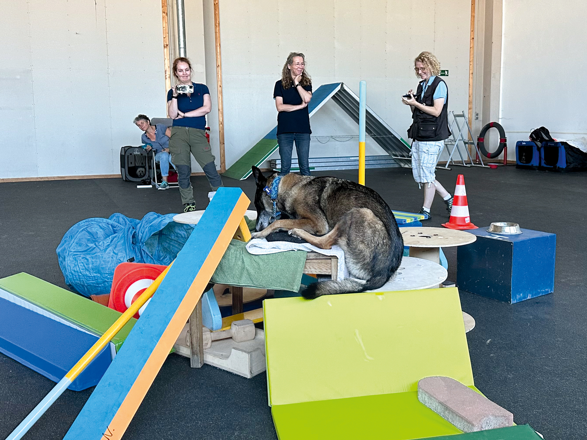 Einklinker Hundesport - Sportiv