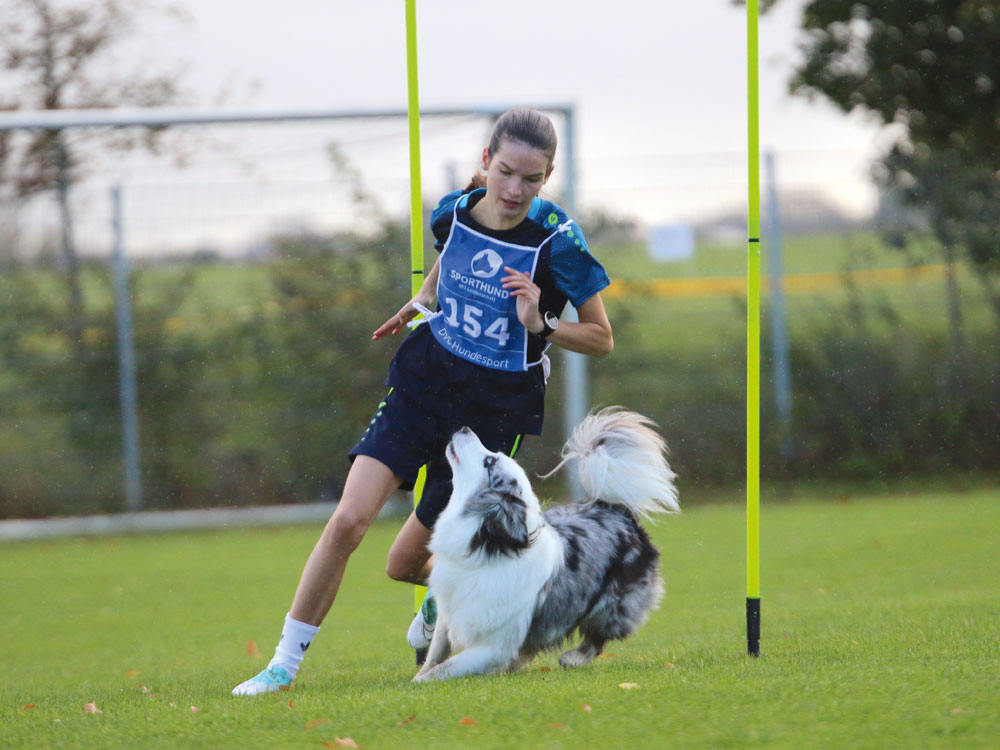 Einklinker Hundesport - Sportiv