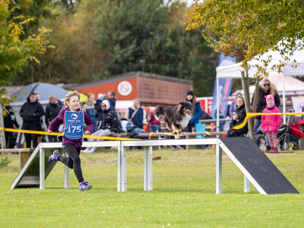 Einklinker Hundesport - Sportiv
