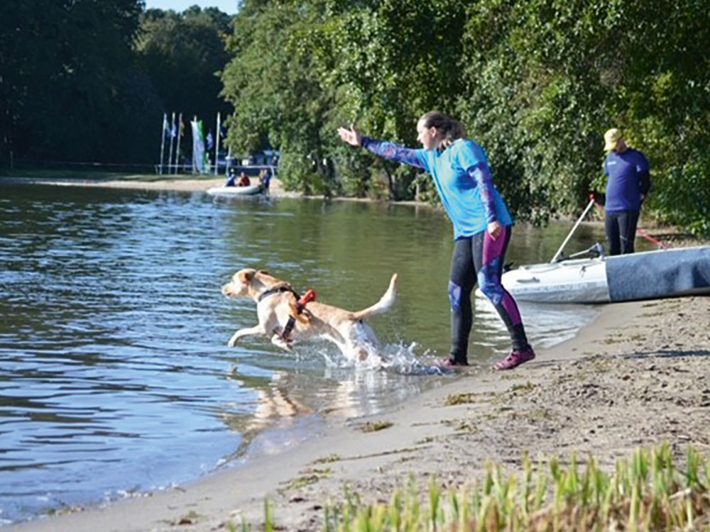 Einklinker Hundesport - Sportiv