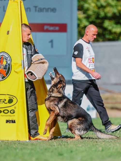 sportiv_ghs-szene_fci-igp-wm_hoch_1